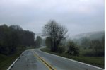 Misty Highway by Cathy Butcher